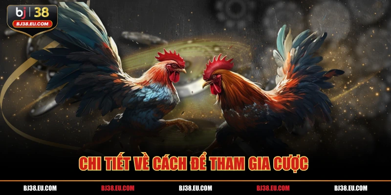 Chi tiết về cách để tham gia cược