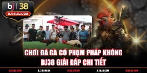Chơi Đá Gà Có Phạm Pháp Không - BJ38 Giải Đáp Chi Tiết