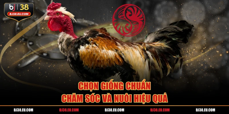 Chọn giống chuẩn chăm sóc và nuôi hiệu quả