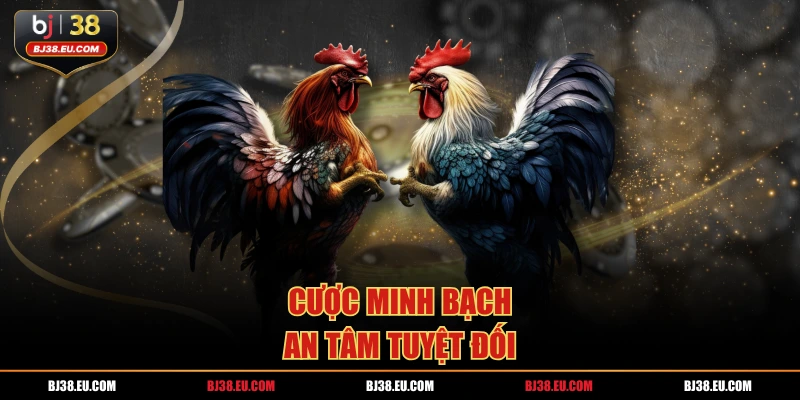 Cược minh bạch, an tâm tuyệt đối