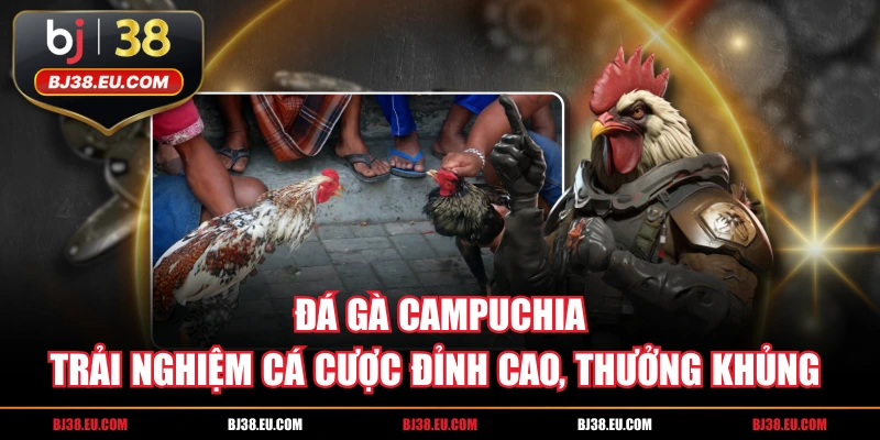 Đá Gà Campuchia | Trải Nghiệm Cá Cược Đỉnh Cao, Thưởng Khủng