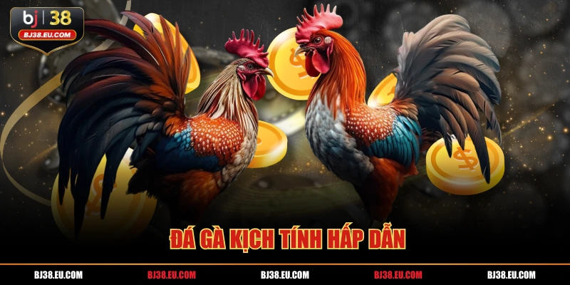 Đá gà kịch tính hấp dẫn