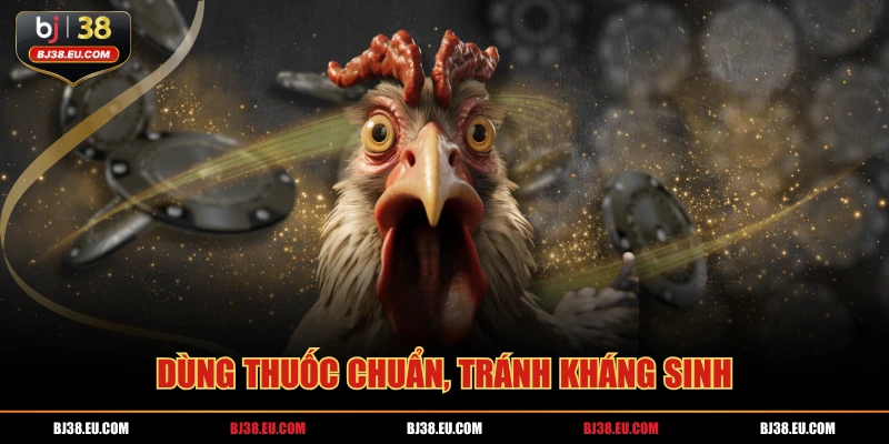 Dùng thuốc chuẩn, tránh kháng sinh