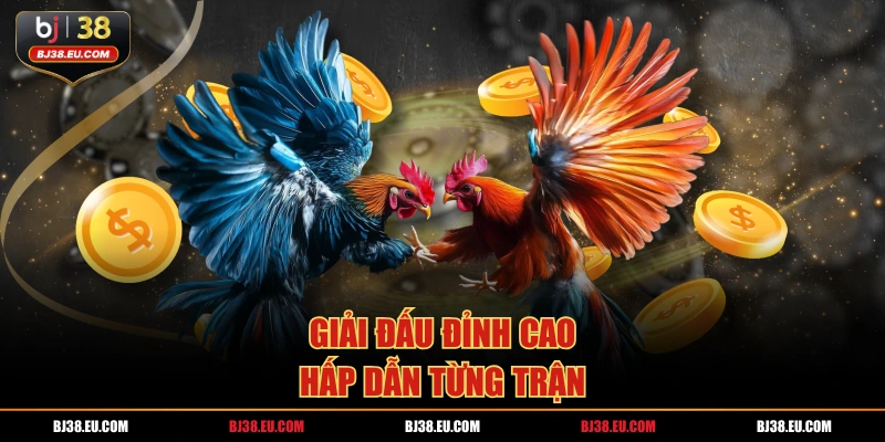 Giải đấu đỉnh cao, hấp dẫn từng trận