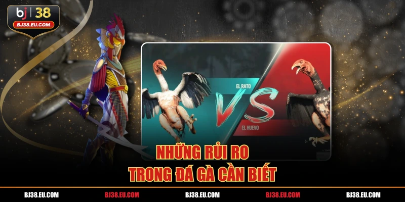 Những rủi ro trong đá gà cần biết