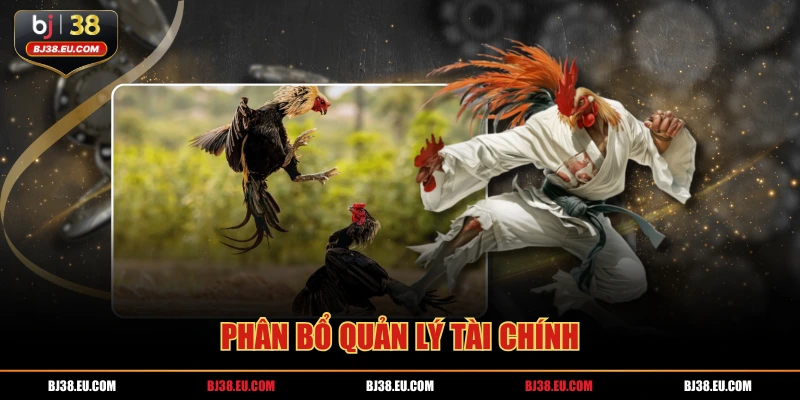 Phân bổ quản lý tài chính